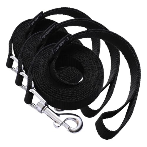 6 FT Puppy Leashes, Strong Traditional Style Leash with Easy to Use Collar Hook,Dog Lead Great for Small and Medium and Large Dog (Mint Blue, 5/8 in x 6 ft)