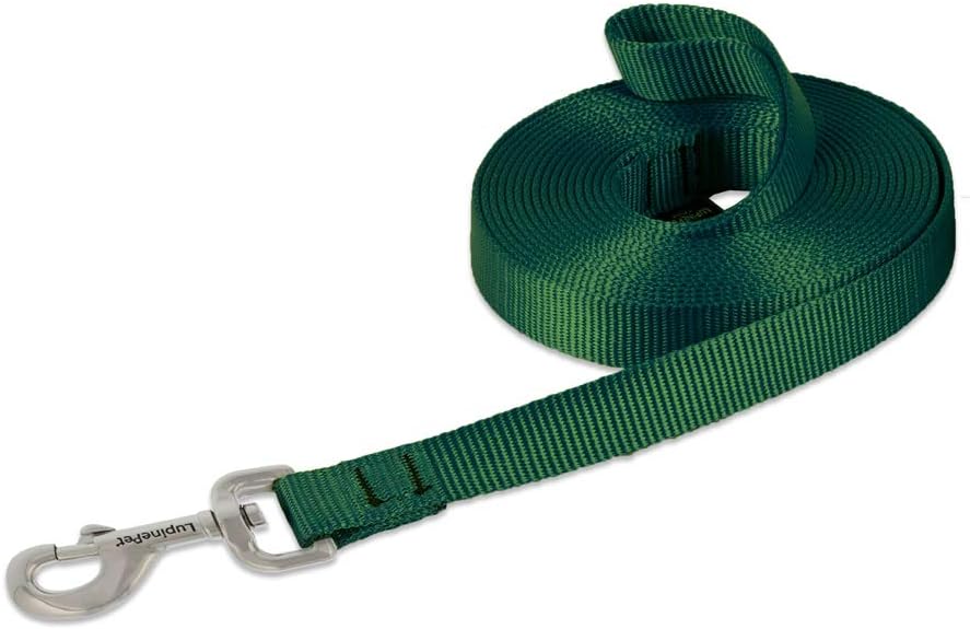 LupinePet Basics 3/4" Blaze Orange 30-Foot Extra-Long Training Lead/Leash for Medium and Larger Dogs