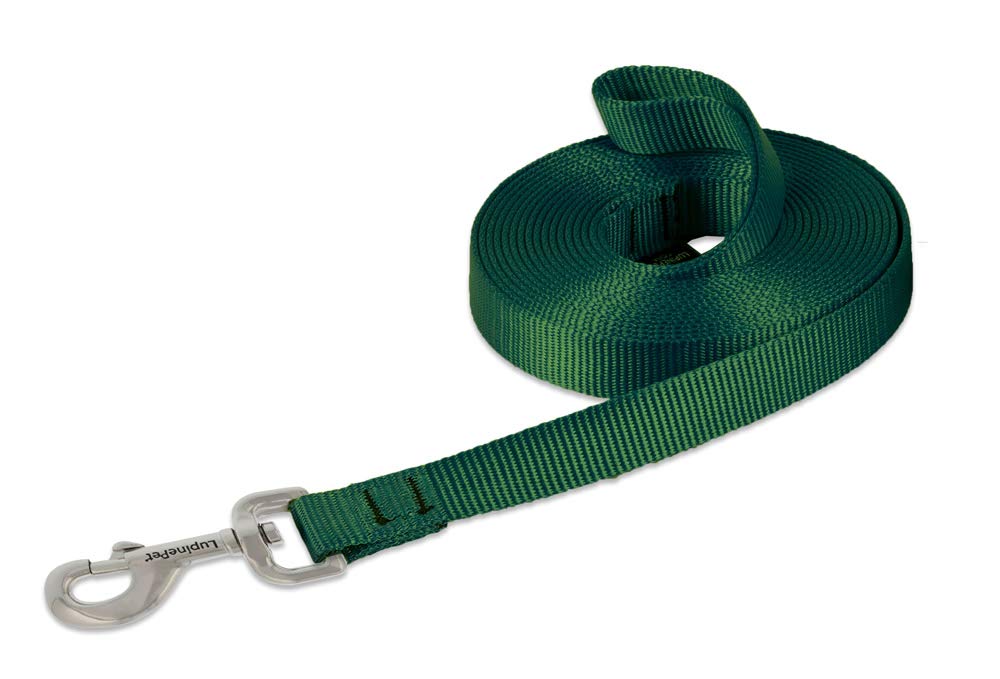 LupinePet Basics 3/4" Blaze Orange 30-Foot Extra-Long Training Lead/Leash for Medium and Larger Dogs