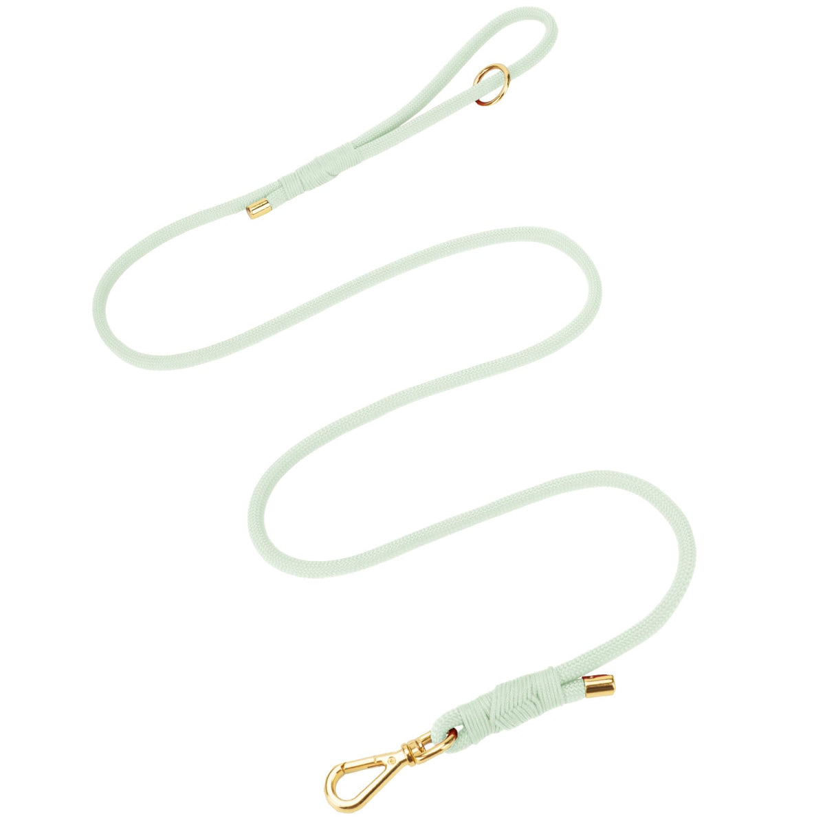 Sunraymascota 5FT Dog Leash Puppy Cat Rope Lead for Small Medium Large Dogs