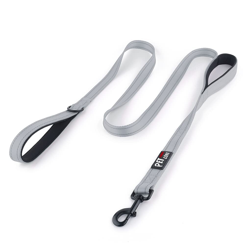 Plutus Pet Double Handle Dog Leash, 6 FT Long, for Medium Large Dogs