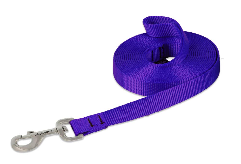 LupinePet Basics 3/4" Blaze Orange 30-Foot Extra-Long Training Lead/Leash for Medium and Larger Dogs