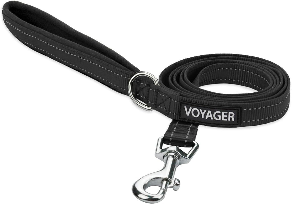 Best Pet Supplies Voyager Nylon Dog Leash - Black, Small