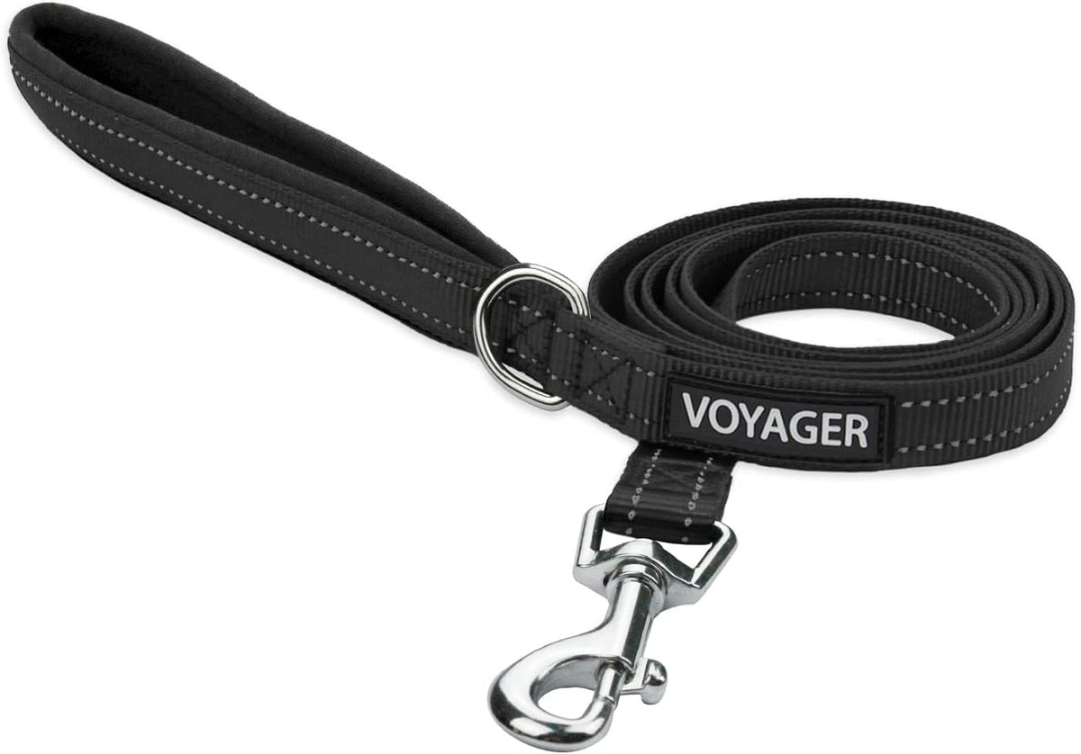 Best Pet Supplies Voyager Nylon Dog Leash - Black, Small