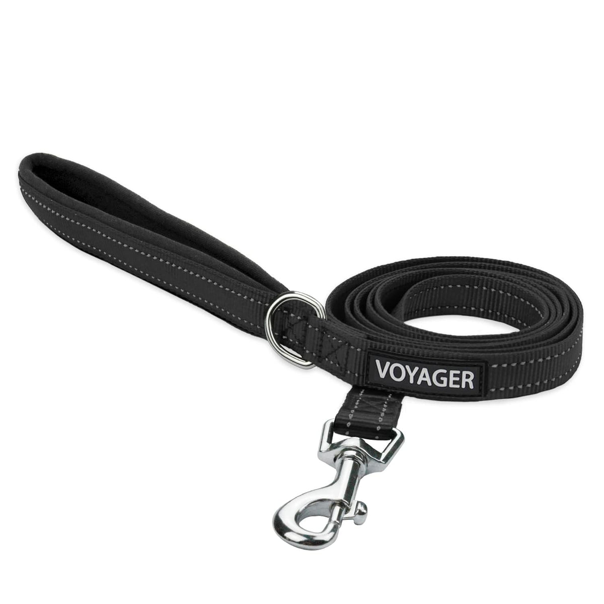 Best Pet Supplies Voyager Nylon Dog Leash - Baby Blue, Small