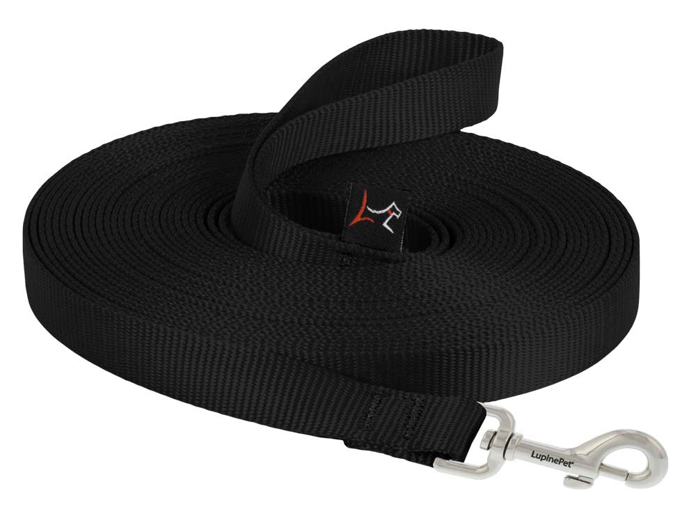 LupinePet Basics 3/4" Blaze Orange 30-Foot Extra-Long Training Lead/Leash for Medium and Larger Dogs