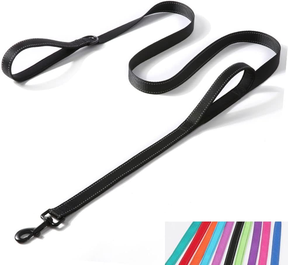 Double Handle Dog Leash 6ft, Reflective Nylon with Padded for Extra Control Outside Durable Training Lead for Small Medium Large Breed Pet Dogs, 1-Inch Width, Teal