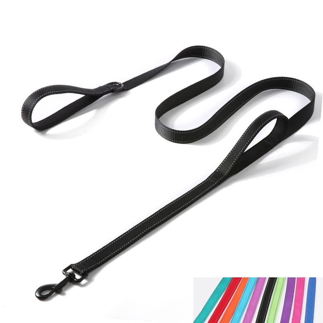 Double Handle Dog Leash 6ft, Reflective Nylon with Padded for Extra Control Outside Durable Training Lead for Small Medium Large Breed Pet Dogs, 1-Inch Width, Teal