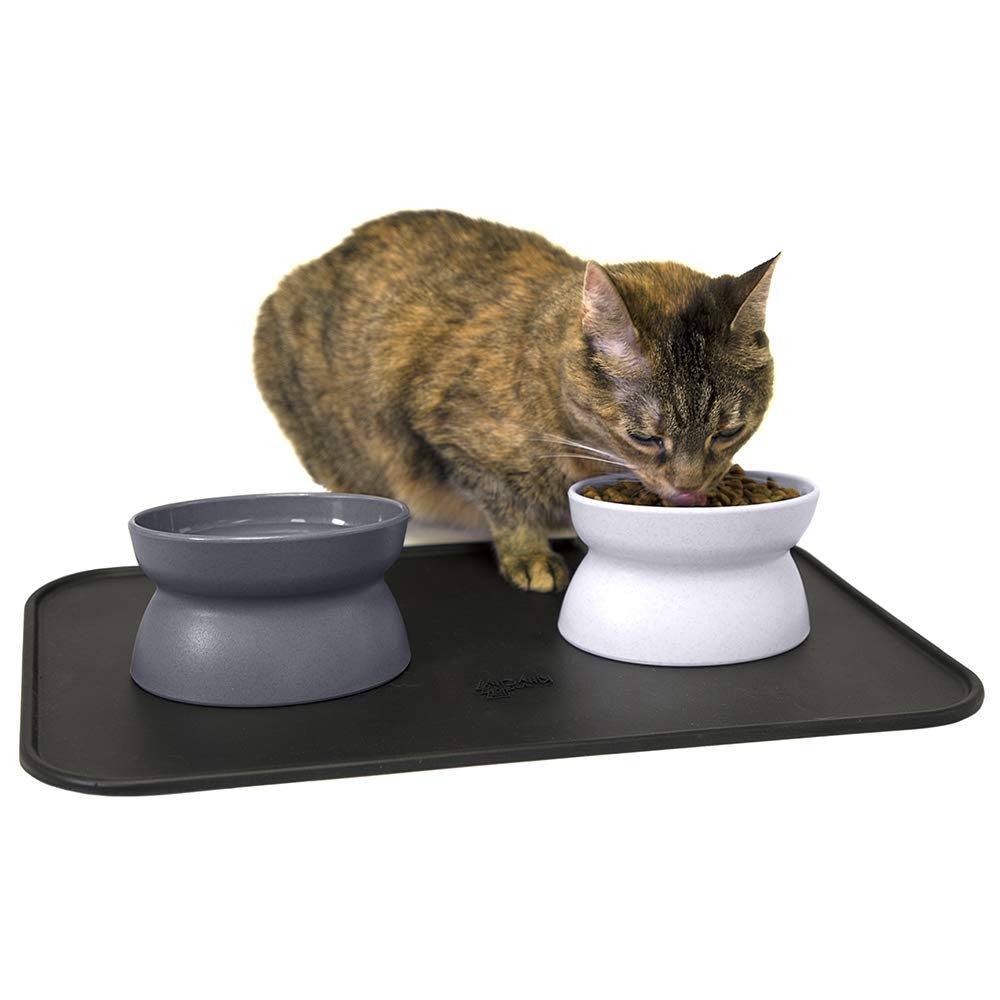 Kitty City Elevated Cat Bowls (Set of 2), Whisker-Friendly Raised Cat Food & Water Dishes, Modern Pedestal Design, Dishwasher Safe, 6.5 oz Each – Teal & Light Pink