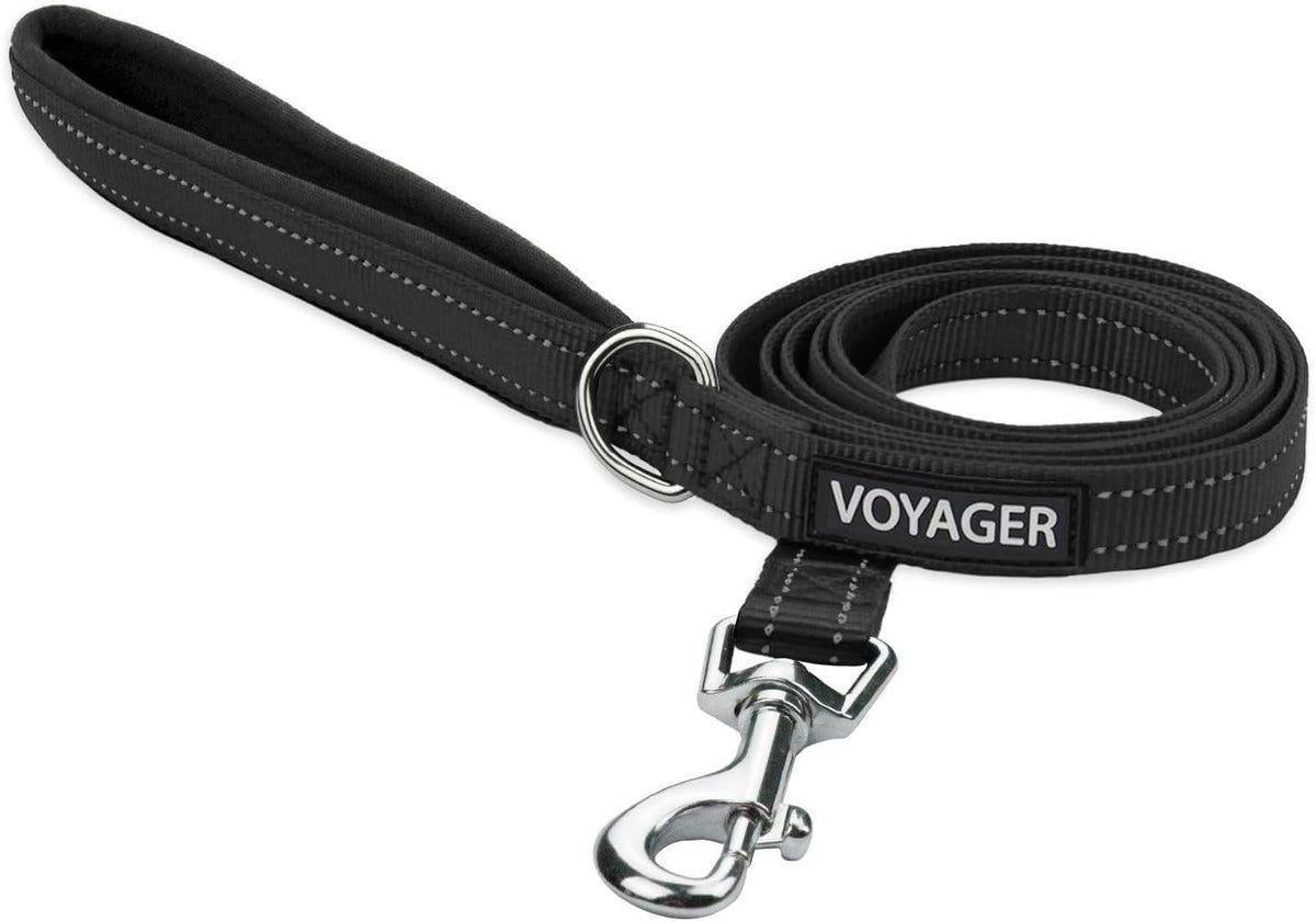 Best Pet Supplies Voyager Nylon Dog Leash - Baby Blue, Small