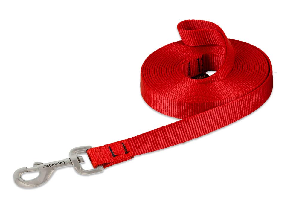 LupinePet Basics 3/4" Blaze Orange 30-Foot Extra-Long Training Lead/Leash for Medium and Larger Dogs