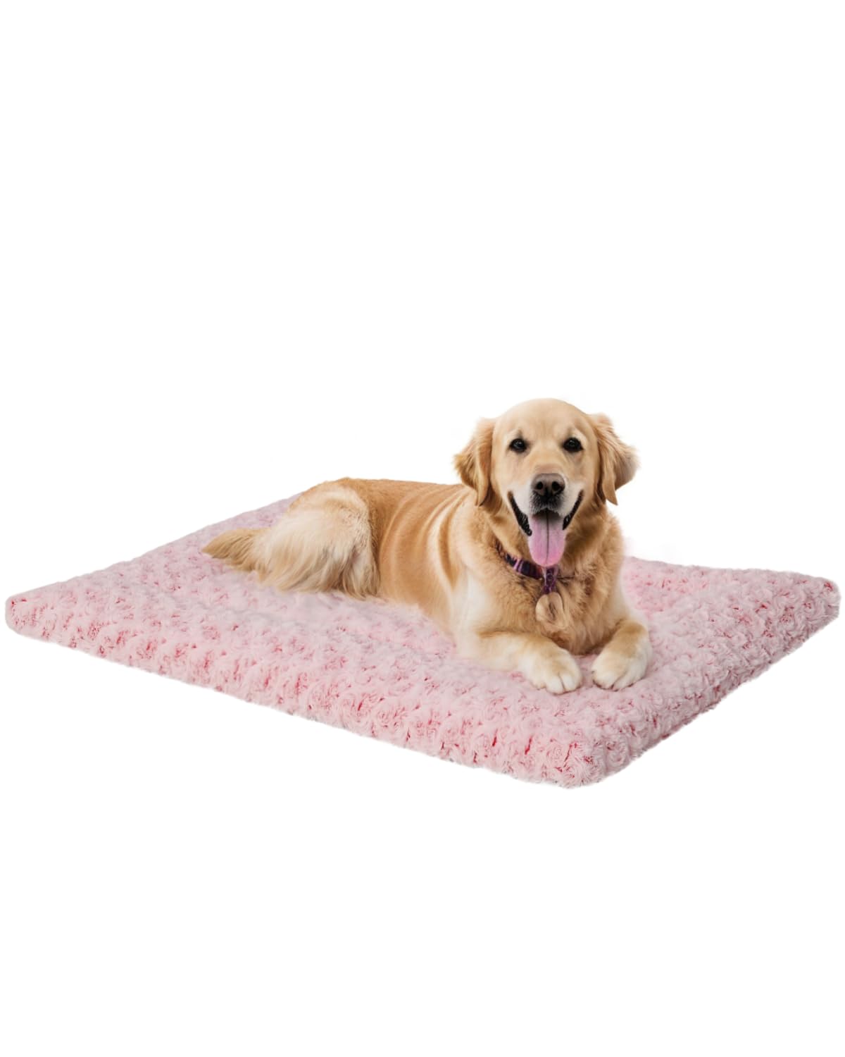 Exsnugy Washable Dog Bed Mat Medium Size Fluffy Pet Crate Pad 36x23