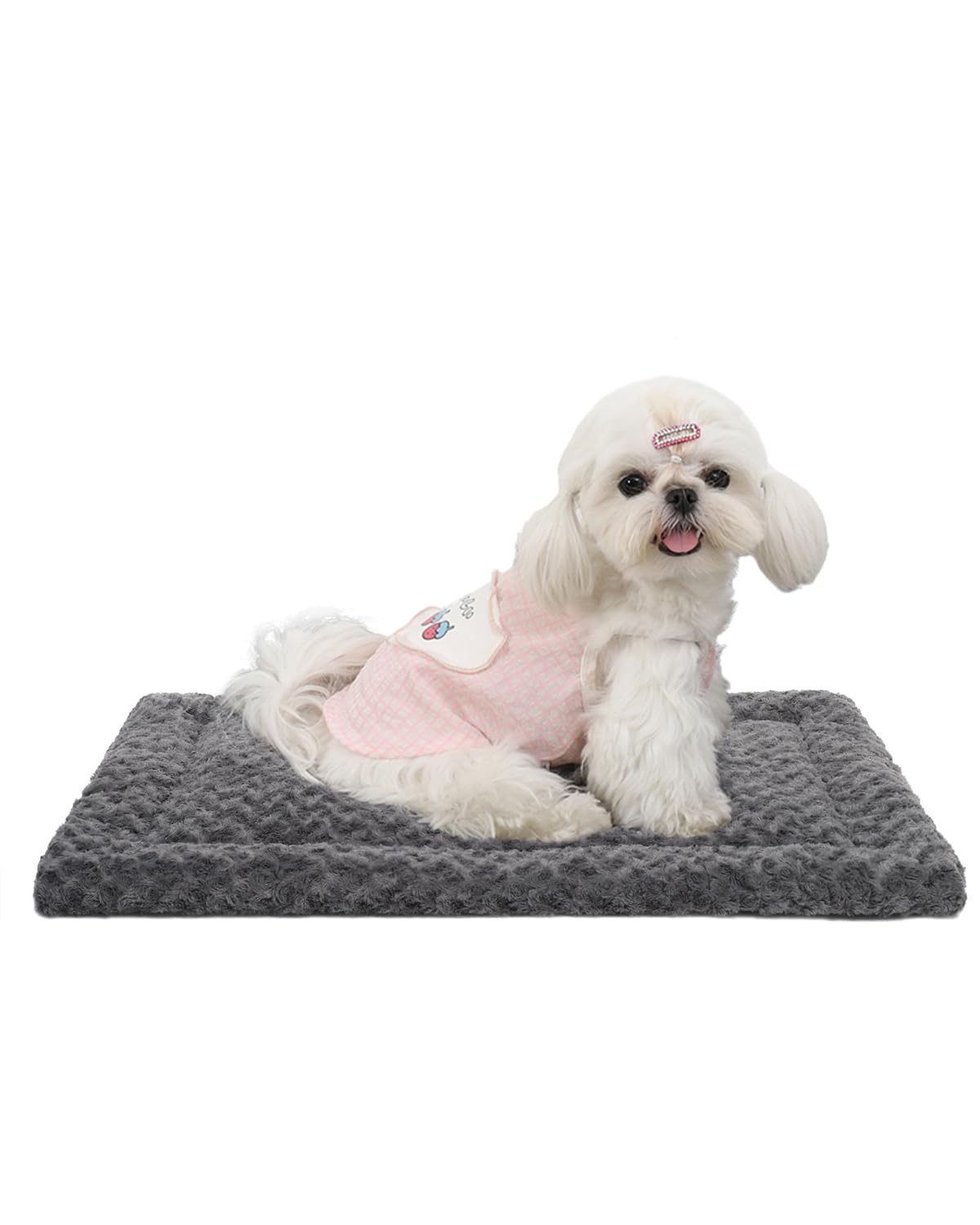 Exsnugy Washable Dog Bed Mat Medium Size Fluffy Pet Crate Pad 36x23