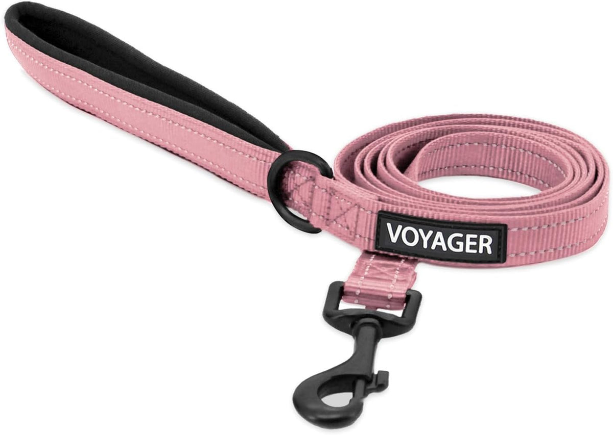 Best Pet Supplies Voyager Nylon Dog Leash - Black, Small