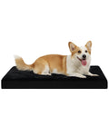 KSIIA Orthopedic Dog Bed for Small Dogs with Waterproof Lining, Grey, 23x17