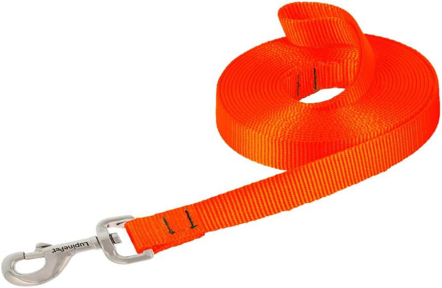 LupinePet Basics 3/4" Blaze Orange 30-Foot Extra-Long Training Lead/Leash for Medium and Larger Dogs