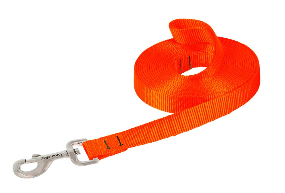 LupinePet Basics 3/4" Blaze Orange 30-Foot Extra-Long Training Lead/Leash for Medium and Larger Dogs