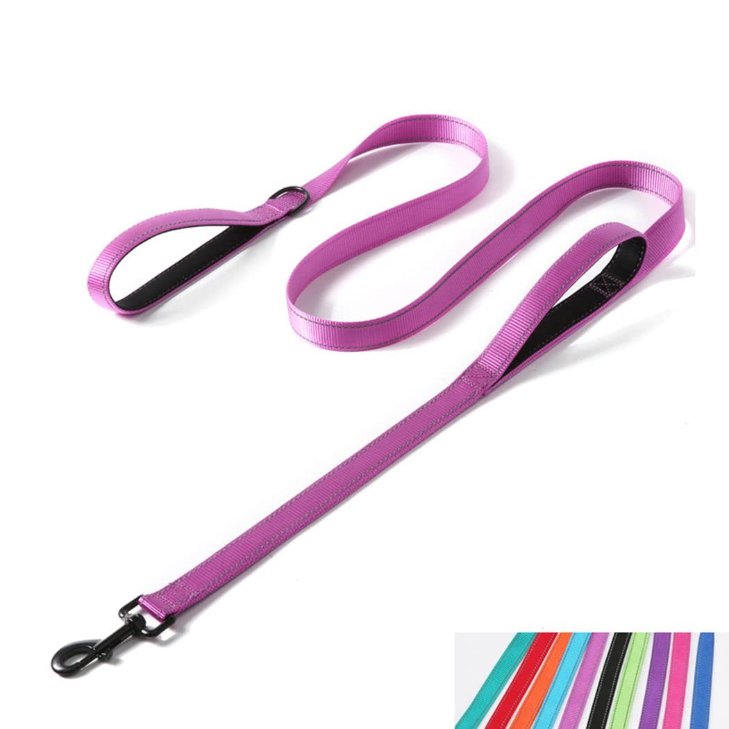 Double Handle Dog Leash 6ft, Reflective Nylon with Padded for Extra Control Outside Durable Training Lead for Small Medium Large Breed Pet Dogs, 1-Inch Width, Teal