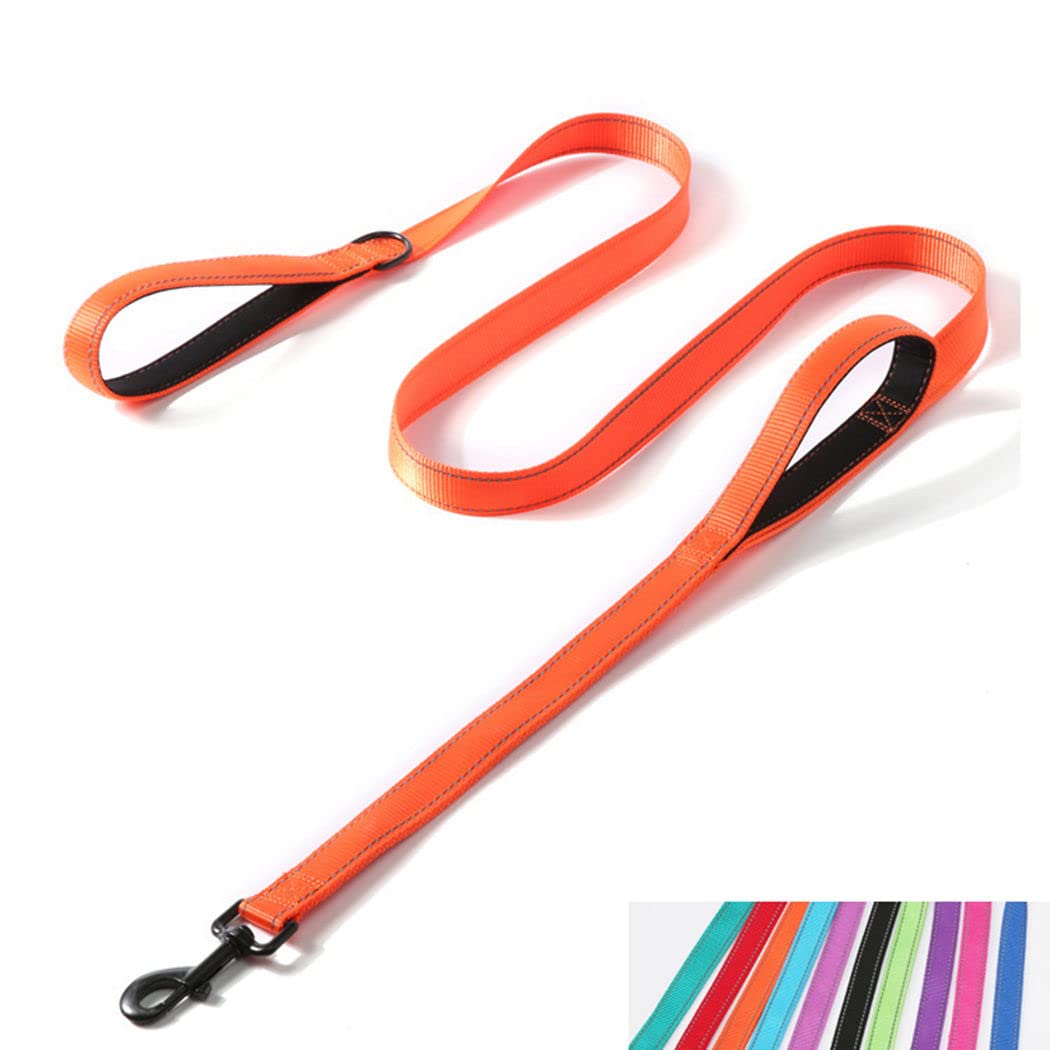 Double Handle Dog Leash 6ft, Reflective Nylon with Padded for Extra Control Outside Durable Training Lead for Small Medium Large Breed Pet Dogs, 1-Inch Width, Teal
