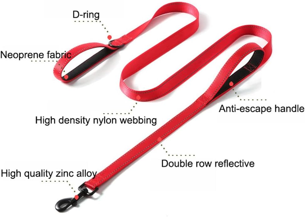 Double Handle Dog Leash 6ft, Reflective Nylon with Padded for Extra Control Outside Durable Training Lead for Small Medium Large Breed Pet Dogs, 1-Inch Width, Teal