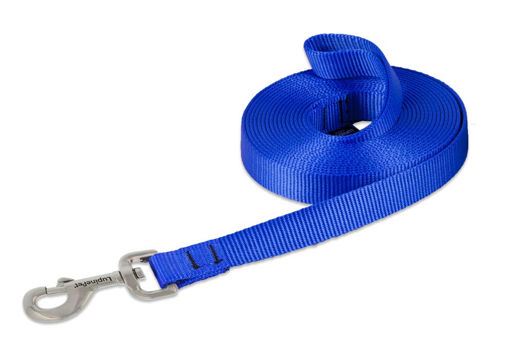 LupinePet Basics 3/4" Blaze Orange 30-Foot Extra-Long Training Lead/Leash for Medium and Larger Dogs