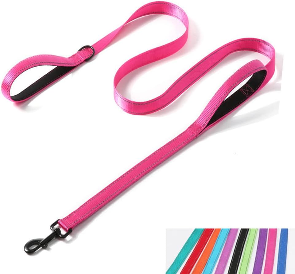 Double Handle Dog Leash 6ft, Reflective Nylon with Padded for Extra Control Outside Durable Training Lead for Small Medium Large Breed Pet Dogs, 1-Inch Width, Teal