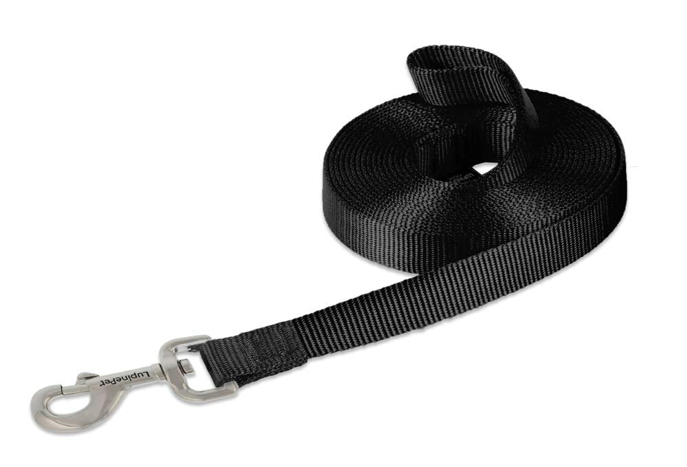 LupinePet Basics 3/4" Blaze Orange 30-Foot Extra-Long Training Lead/Leash for Medium and Larger Dogs