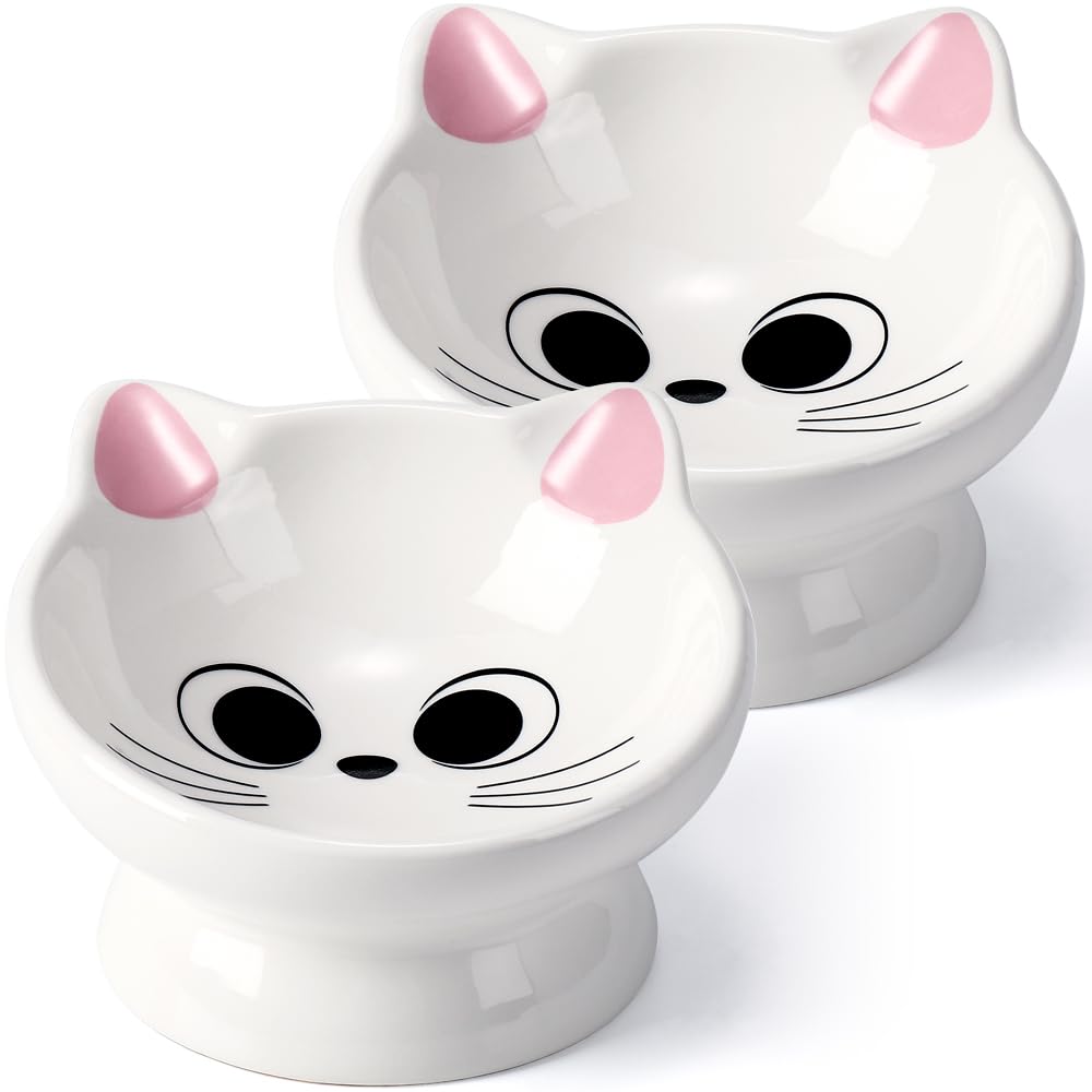 Raised Cat Food Bowl Ceramic 15° Tilted Cat Food Bowls Protect Cat's Spine Anti Vomiting Backflow Prevention Bowls for Adult Kitty, Kitten, and Small Dogs, Pink