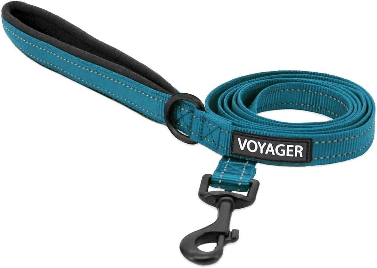 Best Pet Supplies Voyager Nylon Dog Leash - Baby Blue, Small