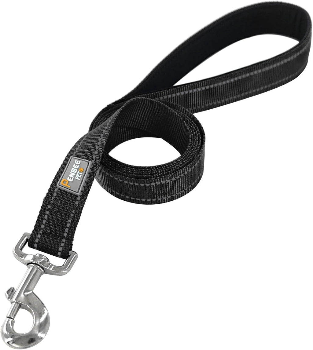 6 FT Basic Dog Leash for Medium Dogs,Black