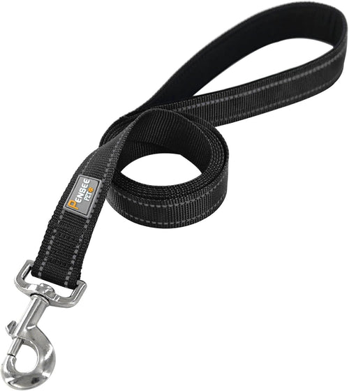 6 FT Basic Dog Leash for Medium Dogs,Black