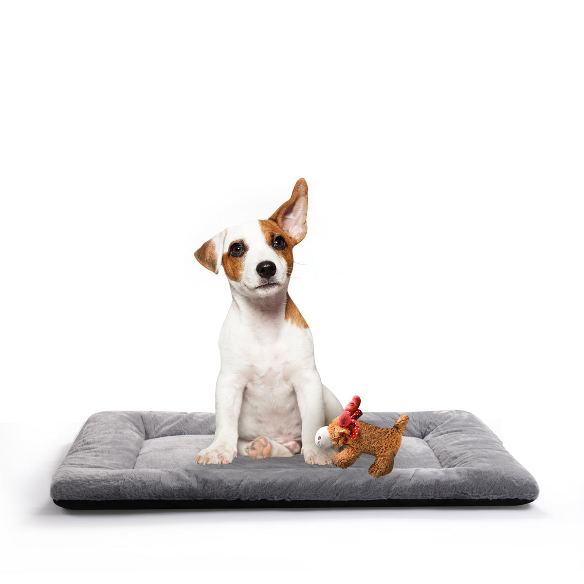 Dog Crate Pad Washable Dog Bed for Crate Medium Cozy Mat 36-Inch Gray
