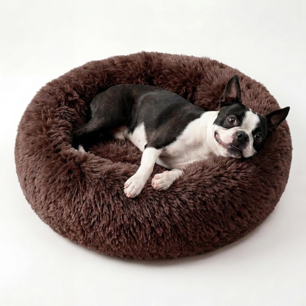 Small Calming Dogs Bed for Small Dogs Anti-Anxiety Machine Washable Fluffy Luxury Anti-Slip Waterproof Mute Base Warming Cozy Soft Pet Puppy Round Bed