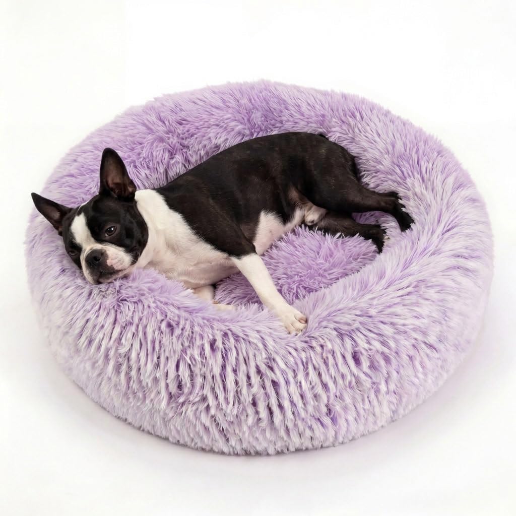 Small Calming Dogs Bed for Small Dogs Anti-Anxiety Machine Washable Fluffy Luxury Anti-Slip Waterproof Mute Base Warming Cozy Soft Pet Puppy Round Bed