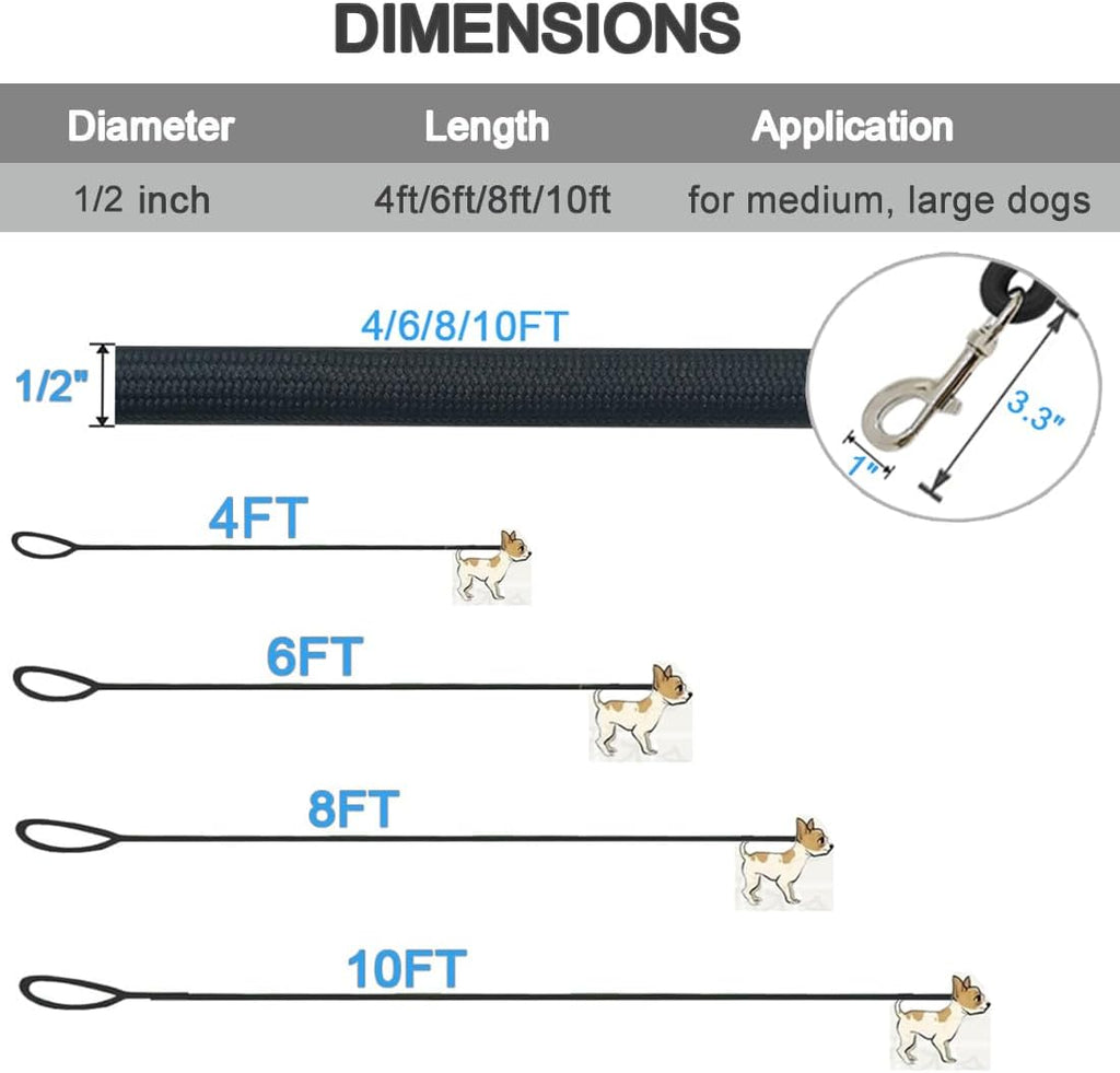 MayPaw 4/6 /8/10 FT Dog Leash, Classic Solid Colors, Strong Nylon Rope Dog Leash Reinforced with Leather Tailor Connection Heavy Duty Silver Clasp (Black, 10ft*1/2")