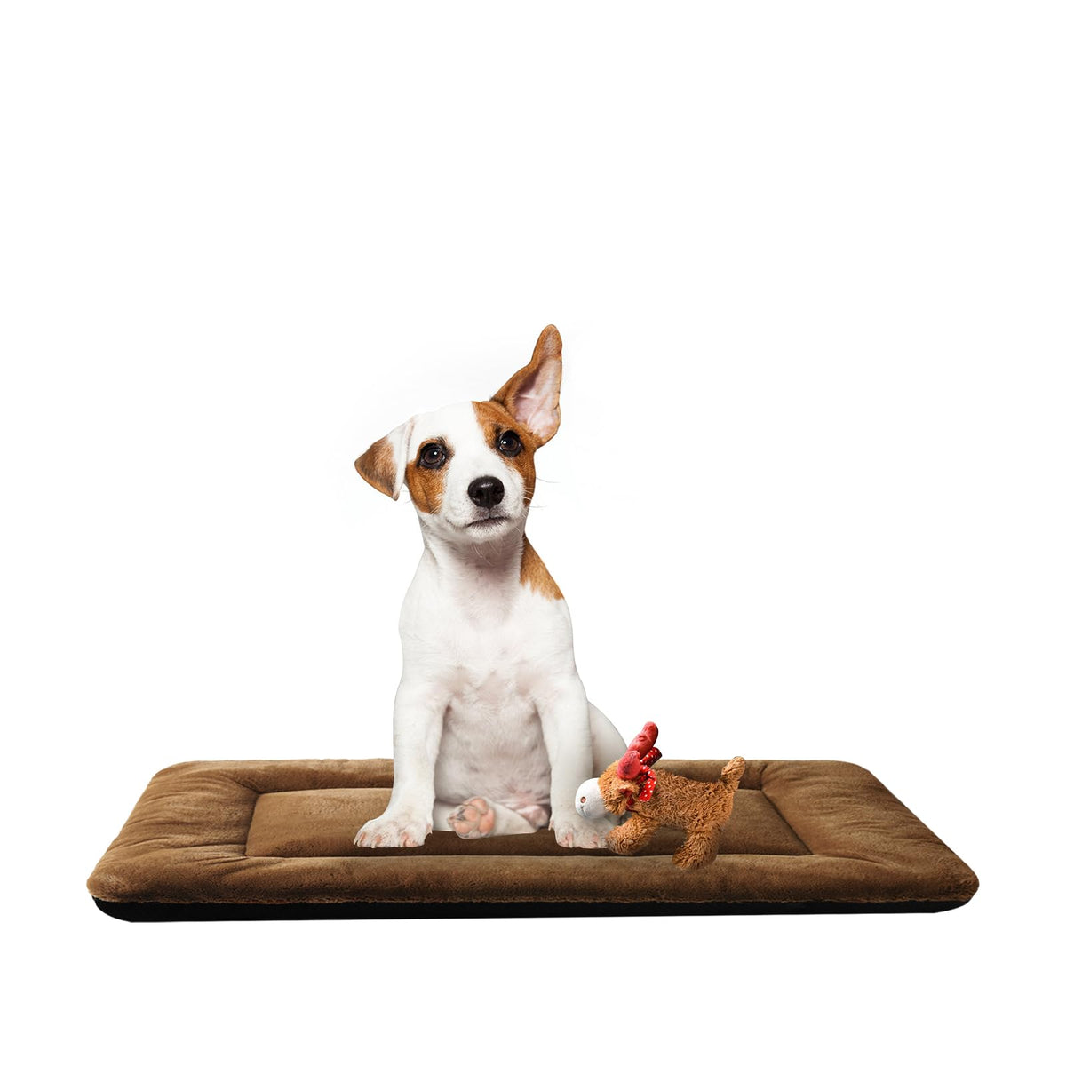 Dog Crate Pad Washable Dog Bed for Crate Medium Cozy Mat 36-Inch Gray