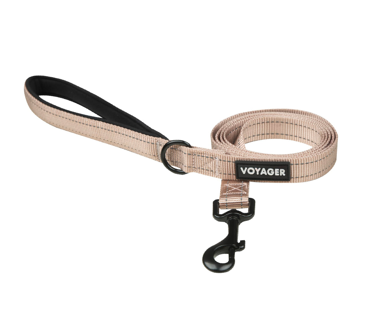 Best Pet Supplies Voyager Nylon Dog Leash - Baby Blue, Small