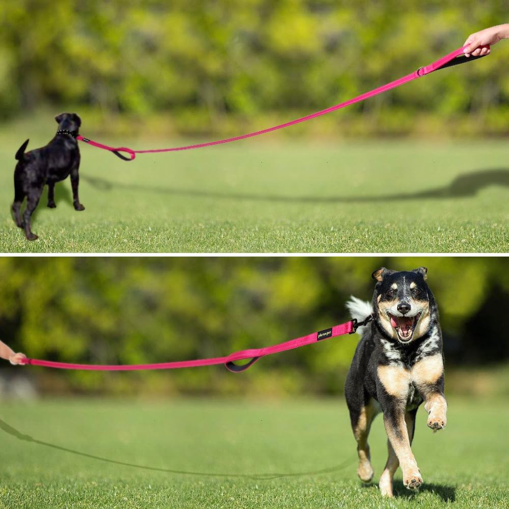 Plutus Pet Double Handle Dog Leash, 6 FT Long, for Medium Large Dogs