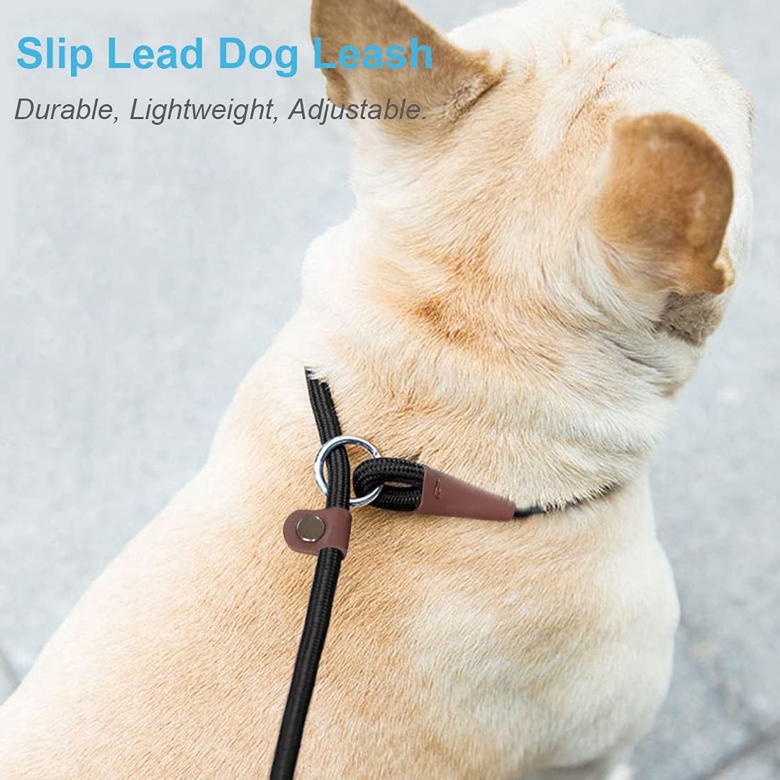 MayPaw Slip Lead Dog Leash 7ft x 1/4" Rope Control Leash for Dogs No Pull