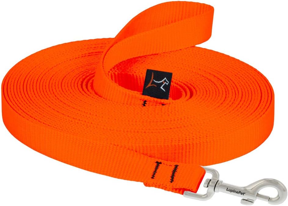 LupinePet Basics 3/4" Blaze Orange 30-Foot Extra-Long Training Lead/Leash for Medium and Larger Dogs