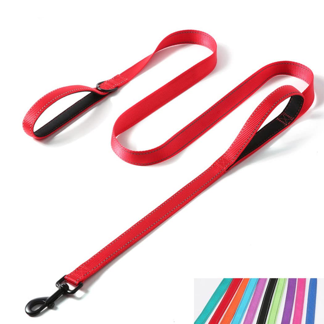 Double Handle Dog Leash 6ft, Reflective Nylon with Padded for Extra Control Outside Durable Training Lead for Small Medium Large Breed Pet Dogs, 1-Inch Width, Teal
