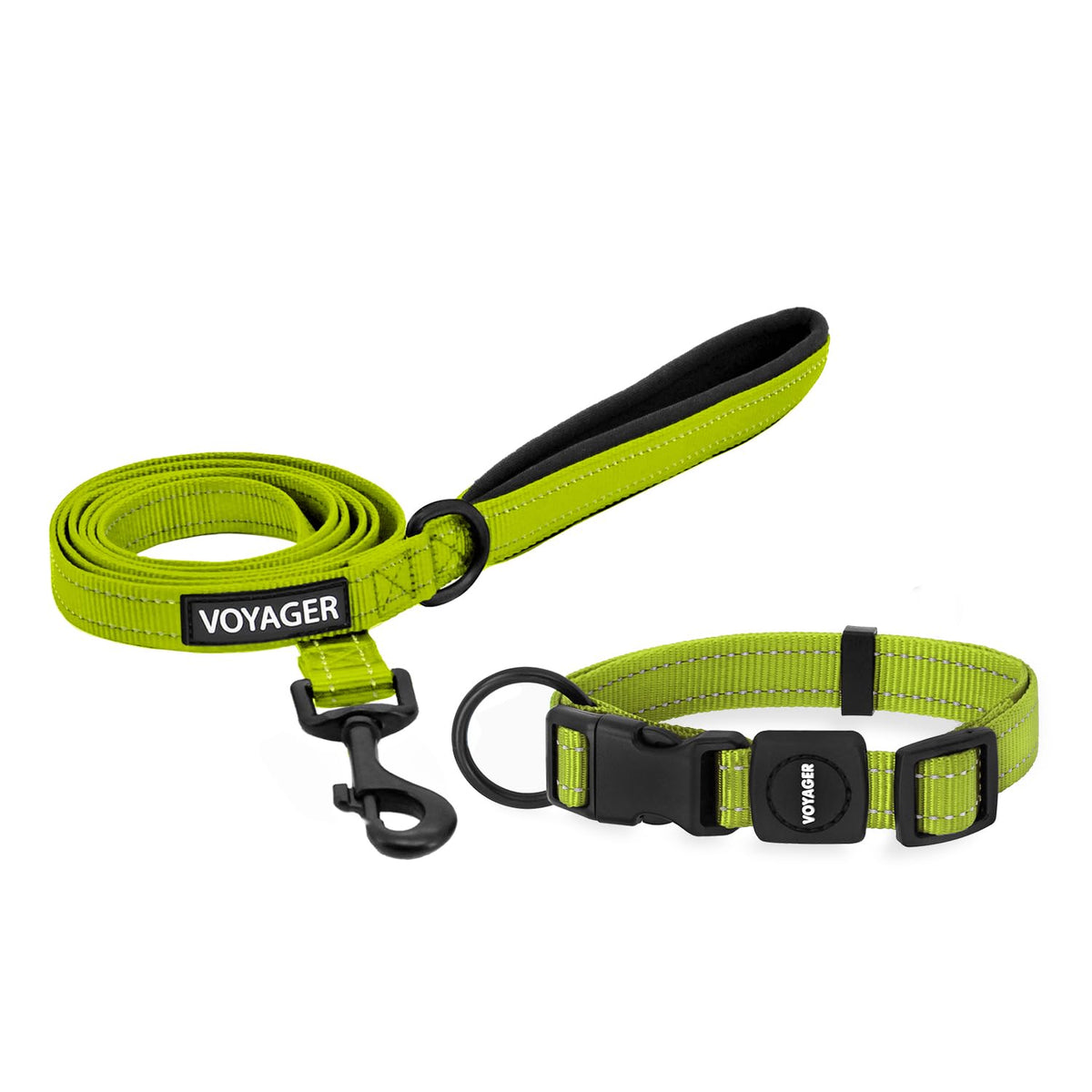 Best Pet Supplies Voyager Nylon Dog Leash - Baby Blue, Small