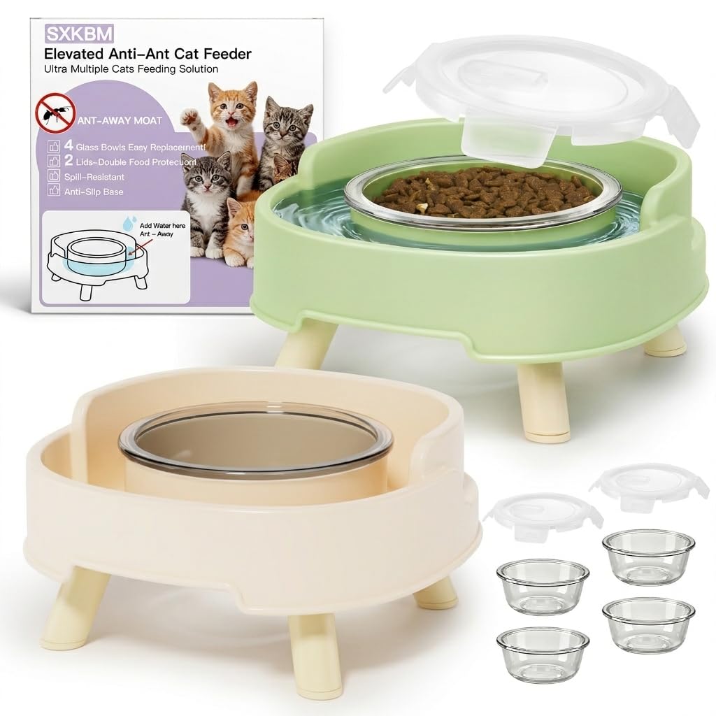 2 Pack Ant Not Cross Elevated Cat Bowls Mess Proof-4 Food Grade Glass Bowls & 2 Lids- No Spill Cat Food and Water Feeding Station for Cats&Puppy Indoor & Outdoor,No Whisker Fatigue Dish,Green
