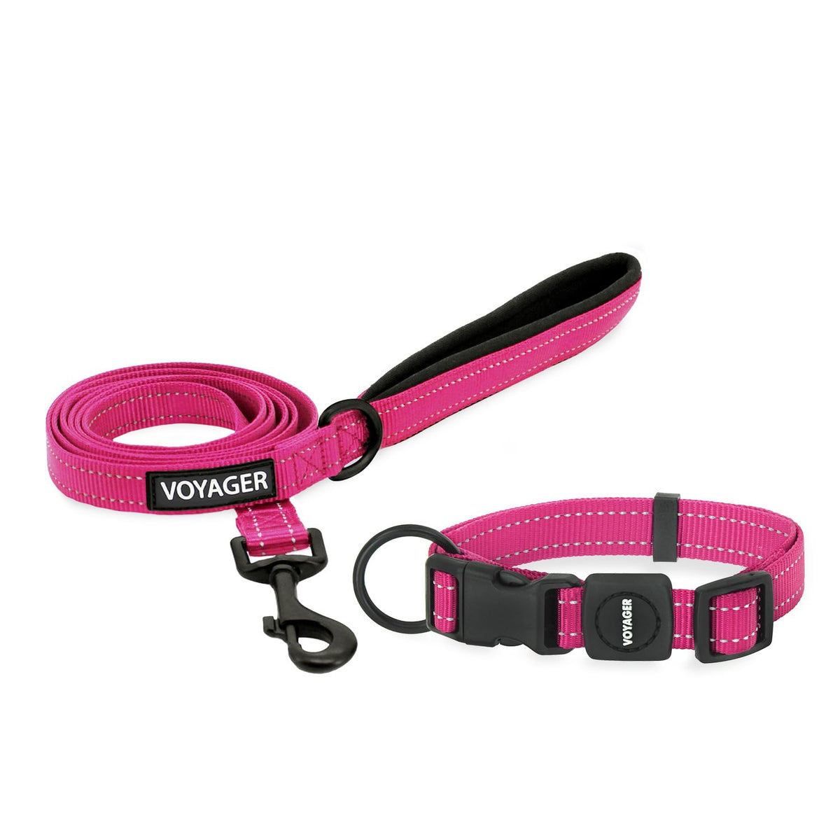 Best Pet Supplies Voyager Nylon Dog Leash - Baby Blue, Small