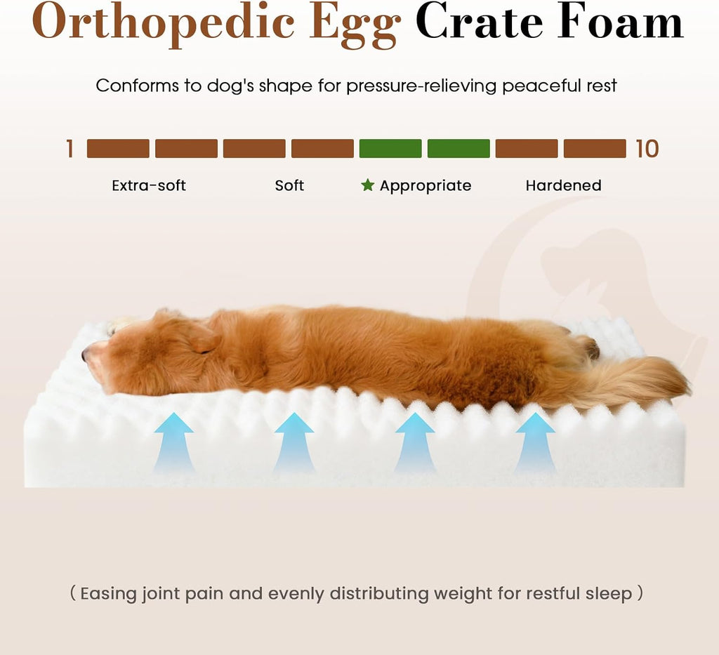 Dog Beds for Large Sized Dog, Orthopedic Foam with Waterproof Lining