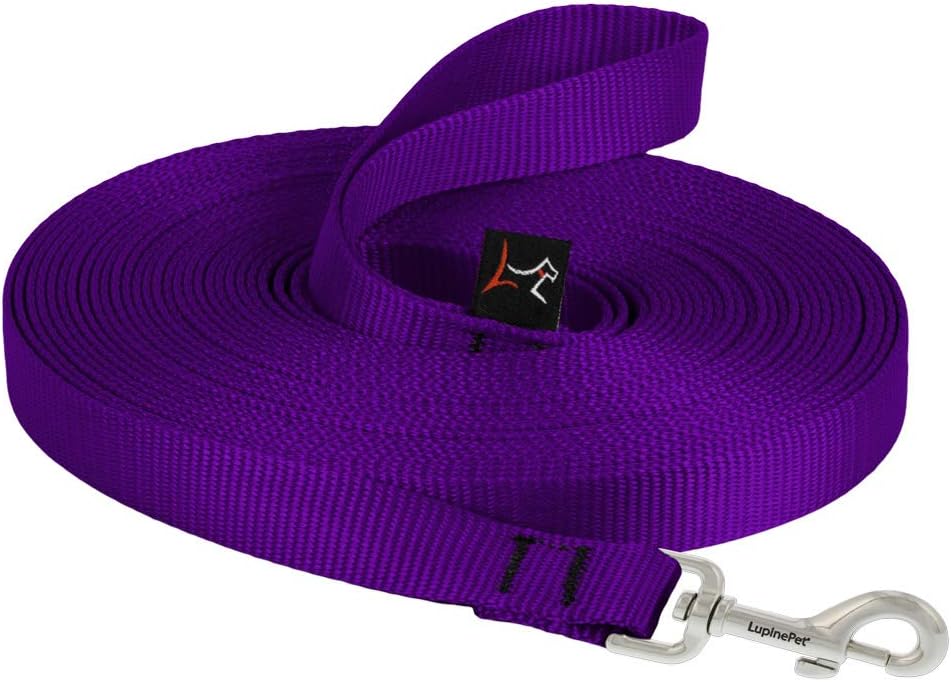 LupinePet Basics 3/4" Blaze Orange 30-Foot Extra-Long Training Lead/Leash for Medium and Larger Dogs