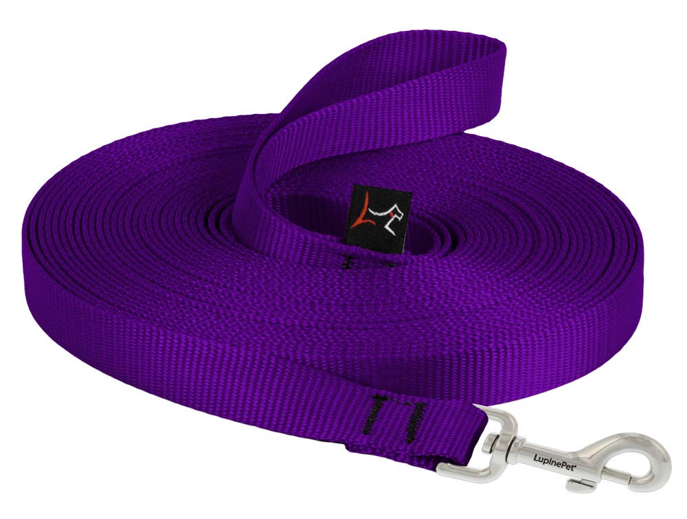 LupinePet Basics 3/4" Blaze Orange 30-Foot Extra-Long Training Lead/Leash for Medium and Larger Dogs