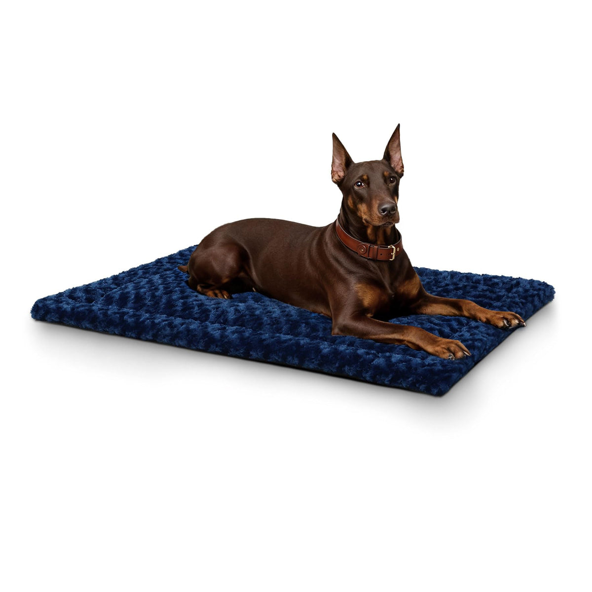 Exsnugy Washable Dog Bed Mat Medium Size Fluffy Pet Crate Pad 36x23