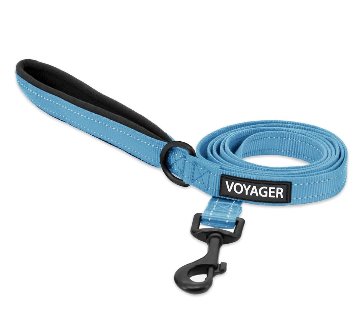 Best Pet Supplies Voyager Nylon Dog Leash - Baby Blue, Small