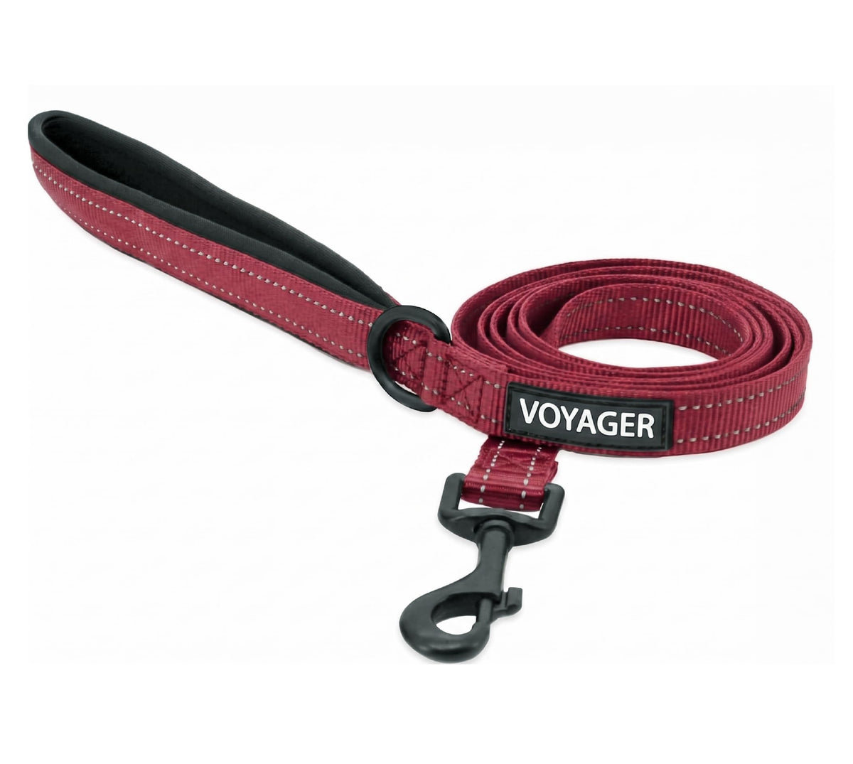 Best Pet Supplies Voyager Nylon Dog Leash - Baby Blue, Small